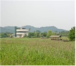 갈대와억새01
