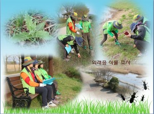 KakaoTalk_20160414_143723988