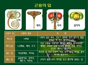 KakaoTalk_20160527_144920366