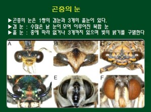KakaoTalk_20160527_144922714