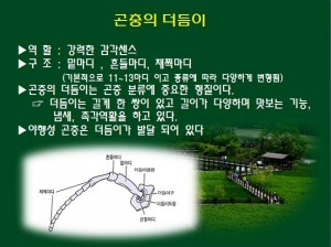 KakaoTalk_20160527_144924806