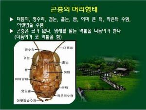 KakaoTalk_20160527_144927214