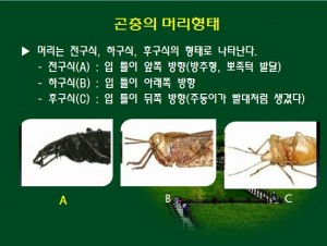 KakaoTalk_20160527_144928819
