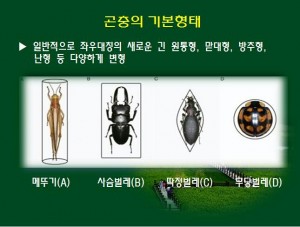KakaoTalk_20160527_144930549