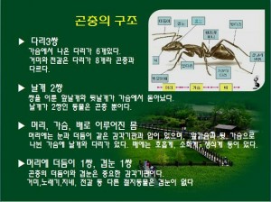 KakaoTalk_20160527_144933118