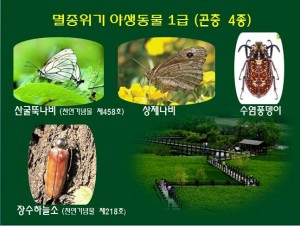KakaoTalk_20160527_155818504