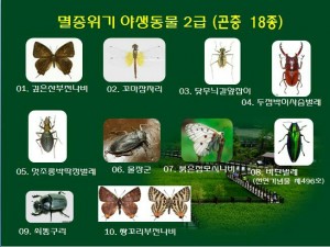 KakaoTalk_20160527_155820752