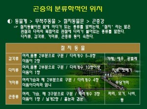 KakaoTalk_20160527_155840291
