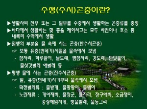 KakaoTalk_20160530_171202362