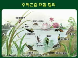 KakaoTalk_20160530_171223409