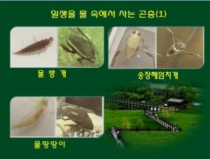 KakaoTalk_20160530_171246106
