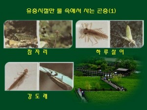 KakaoTalk_20160530_171247905