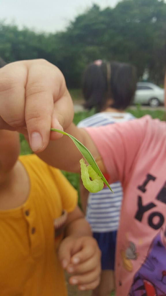 KakaoTalk_20160715_140613494