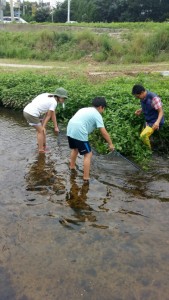 KakaoTalk_20160802_112724635