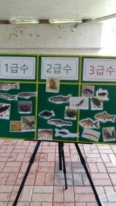 KakaoTalk_20160809_114608761