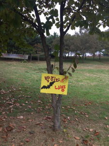 KakaoTalk_20161107_163311696