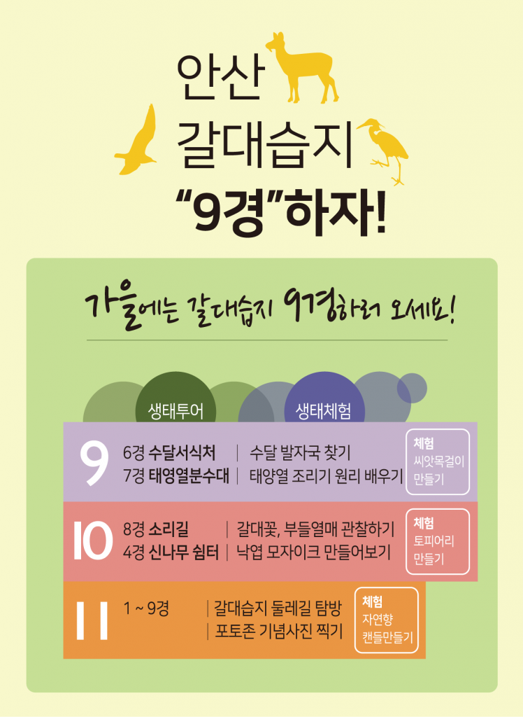 2018_안산갈대습지 9경하자